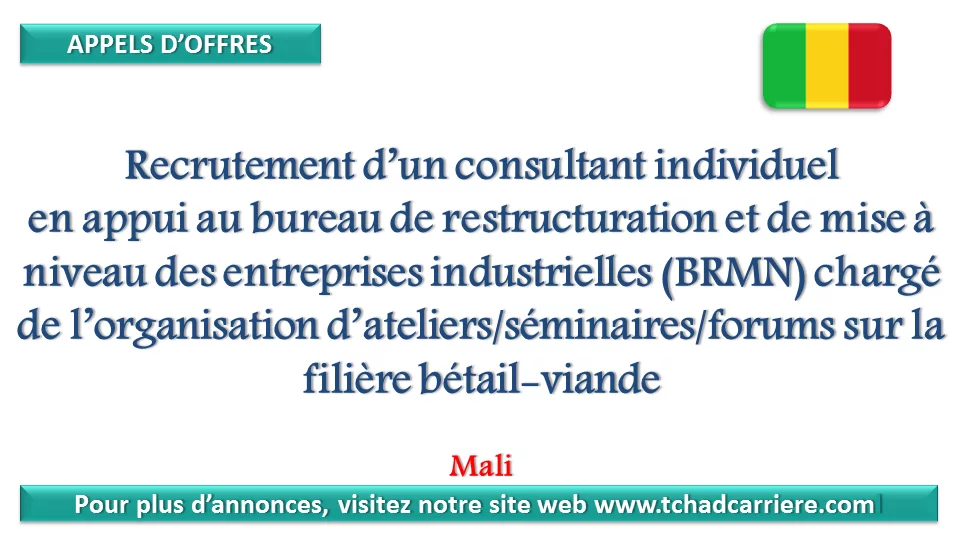 Avis de recrutement d’un consultant individuel en appui au bureau de restructuration et de mise à niveau des entreprises industrielles (BRMN) chargé de l’organisation d’ateliers/séminaires/forums sur la filière bétail-viande, Mali