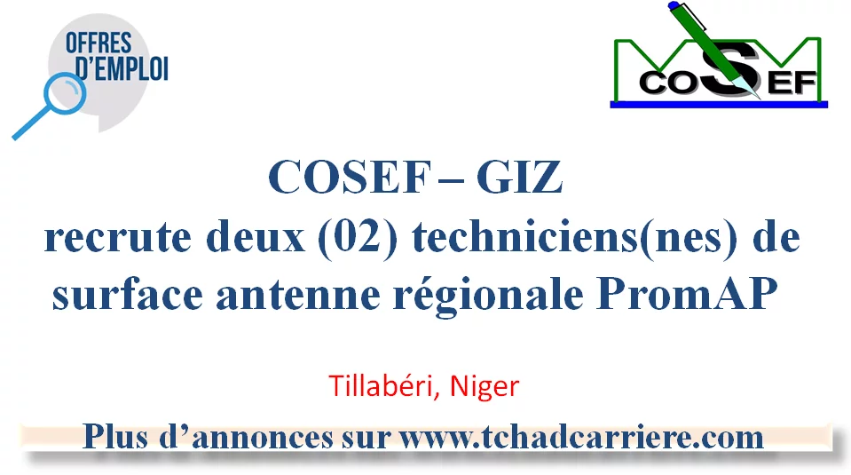 COSEF – GIZ recrute deux (02) techniciens(nes) de surface antenne régionale PromAP Tillabéri, Niger