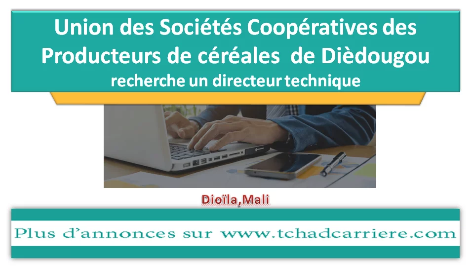 L’Union des Sociétés Coopératives des Producteurs de céréales  de Dièdougou recherche un directeur technique, Dioïla, Mali