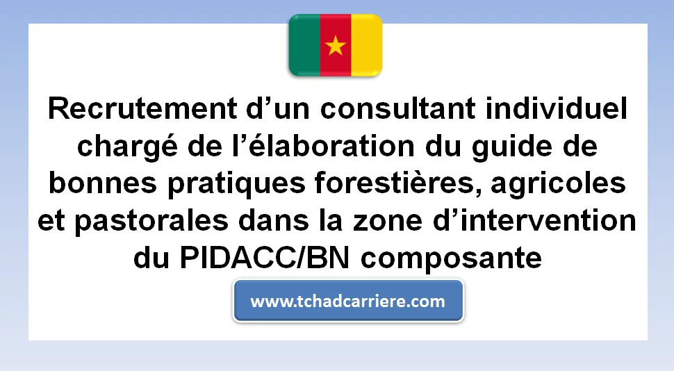 Avis de recrutement d’un consultant individuel chargé de l’élaboration du guide de bonnes pratiques forestières, agricoles et pastorales dans la zone d’intervention du PIDACC/BN composante Cameroun