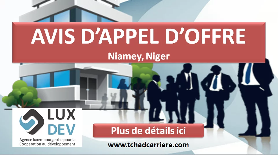 Lux-Development lance un avis d’appel d’offre pour le contrat cadre pour recrutement d’une société de transit, Niamey, Niger