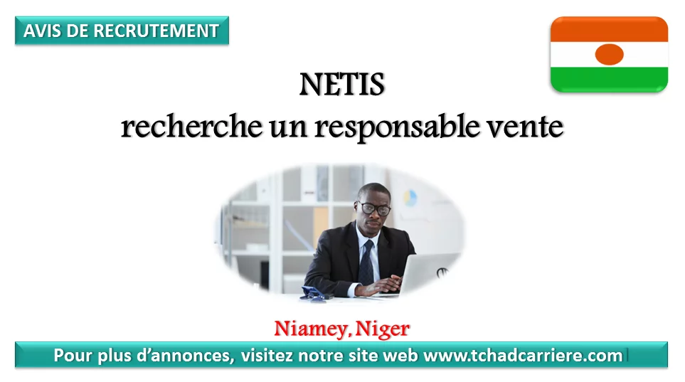 NETIS recherche un responsable vente, Niamey, Niger