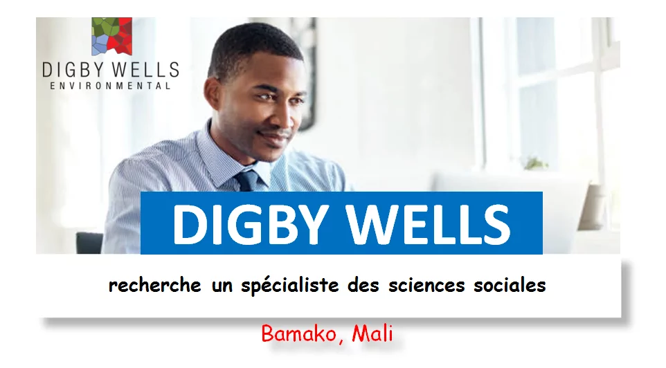 DIGBY WELLS recherche un spécialiste des sciences sociales, Bamako, Mali
