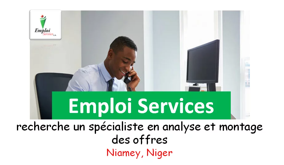 Emploi Services recherche un spécialiste en analyse et montage des offres, Niamey, Niger