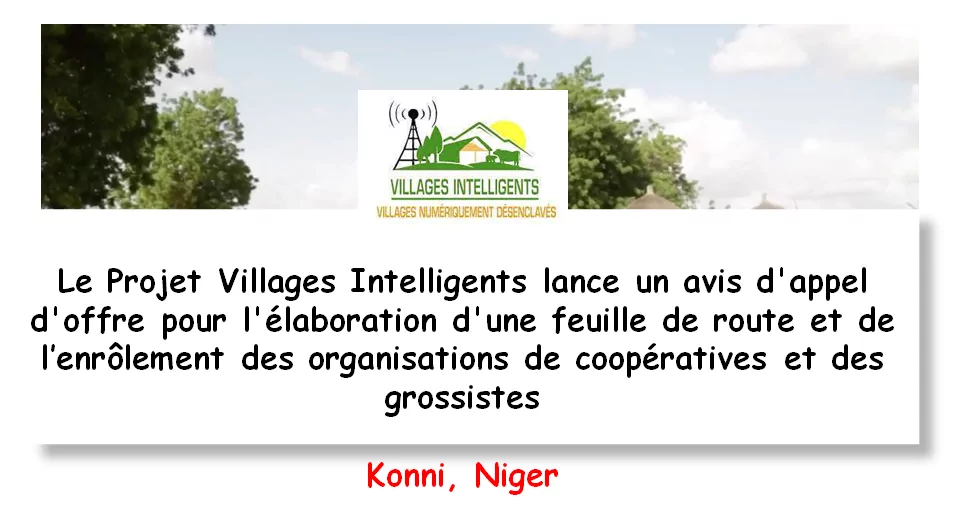 Le Projet Villages Intelligents lance un avis d’appel d’offre pour l’élaboration d’une feuille de route et de l’enrôlement des organisations de coopératives et des grossistes, Konni, Niger