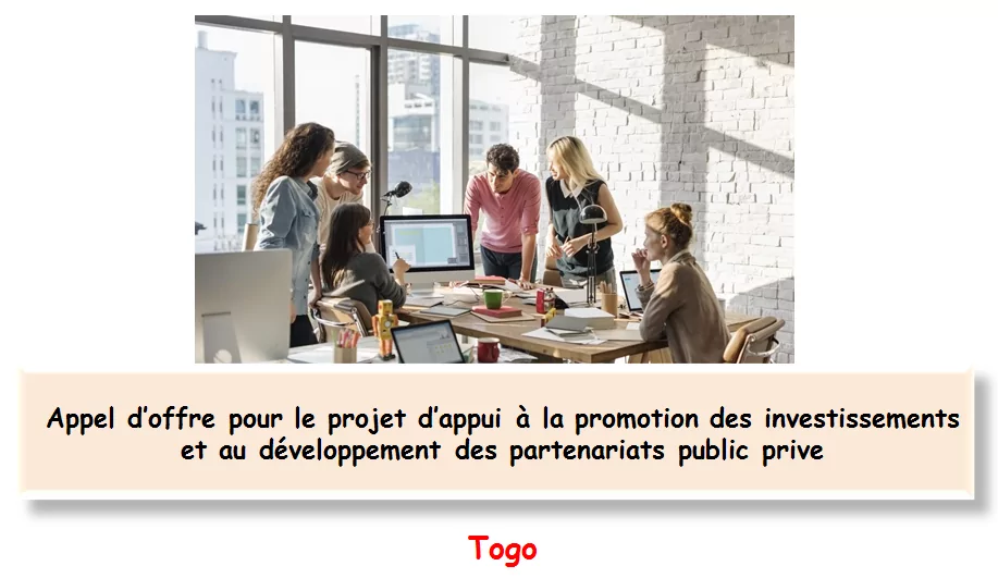 Appel d’offre pour le projet d’appui à la promotion des investissements et au développement des partenariats public prive, Togo