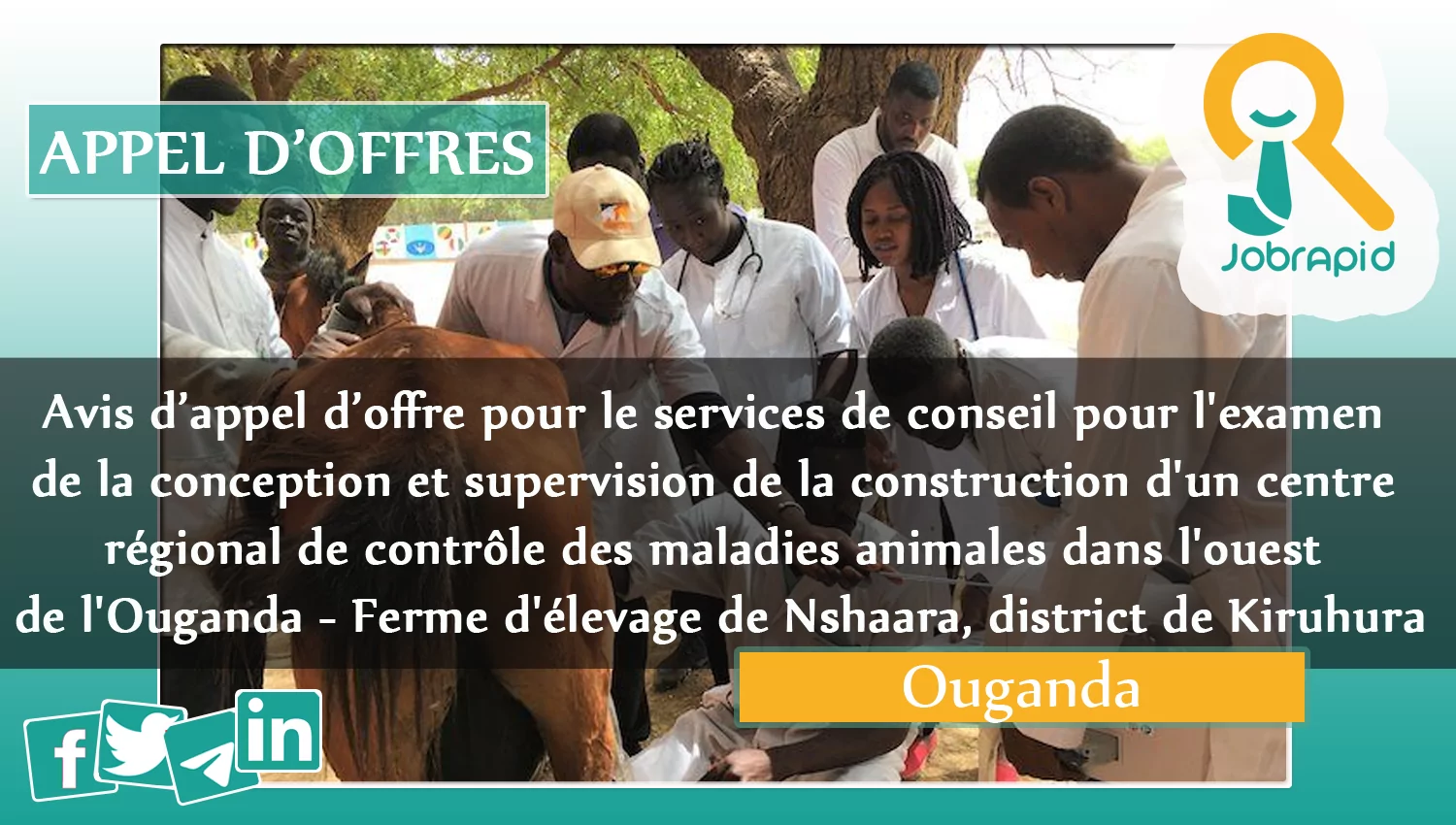 Avis d’appel d’offre pour le services de conseil pour l’examen de la conception et supervision de la construction d’un centre régional de contrôle des maladies animales dans l’ouest de l’Ouganda – Ferme d’élevage de Nshaara, district de Kiruhura, Ouganda