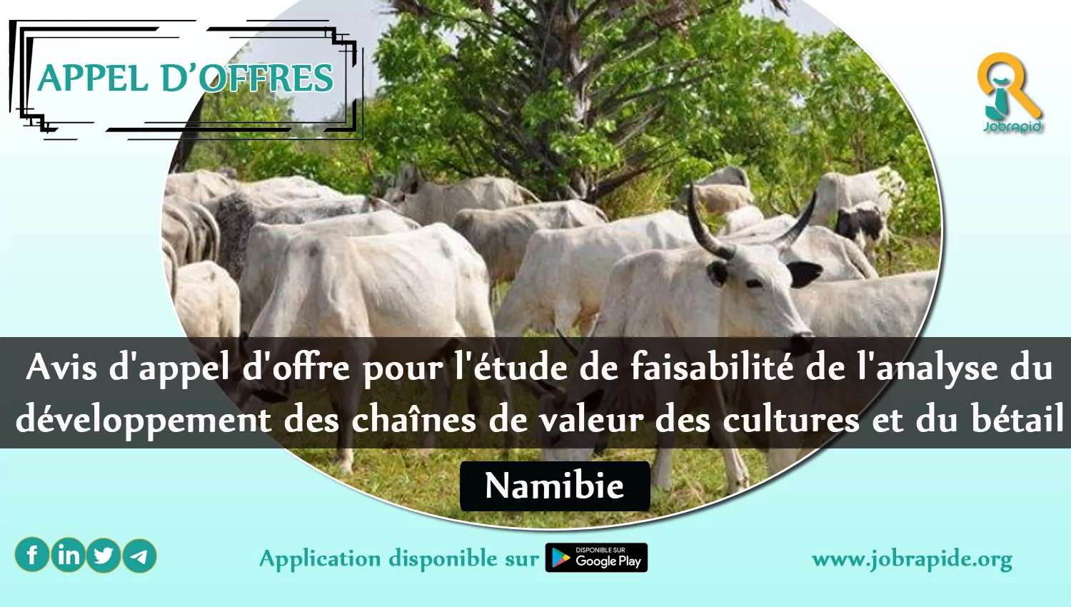 Avis d’appel d’offre pour l’étude de faisabilité de l’analyse du développement des chaînes de valeur des cultures et du bétail, Namibie