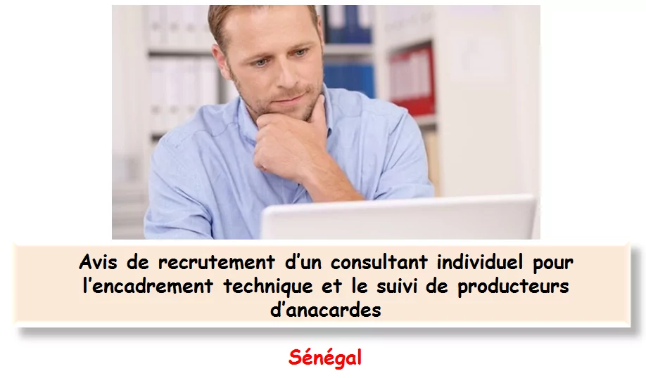 Avis de recrutement d’un consultant individuel pour l’encadrement technique et le suivi de producteurs d’anacardes, Sénégal