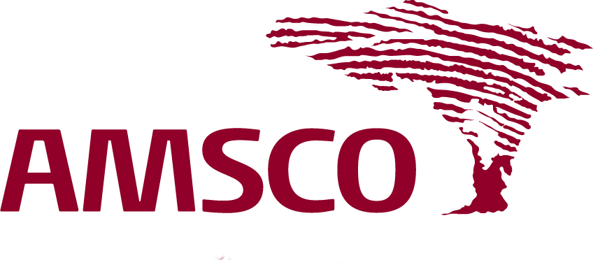 AMSCO recrute pour le poste du Demand Planning & Logistics Director, Douala, Cameroun