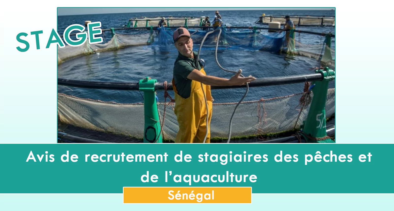 Avis de recrutement de stagiaires des pêches et de l’aquaculture, Sénégal