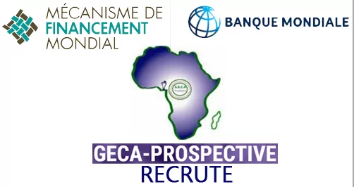 GECA-Prospective & Africo recherche deux (02) assistants comptable, Niamey, Niger