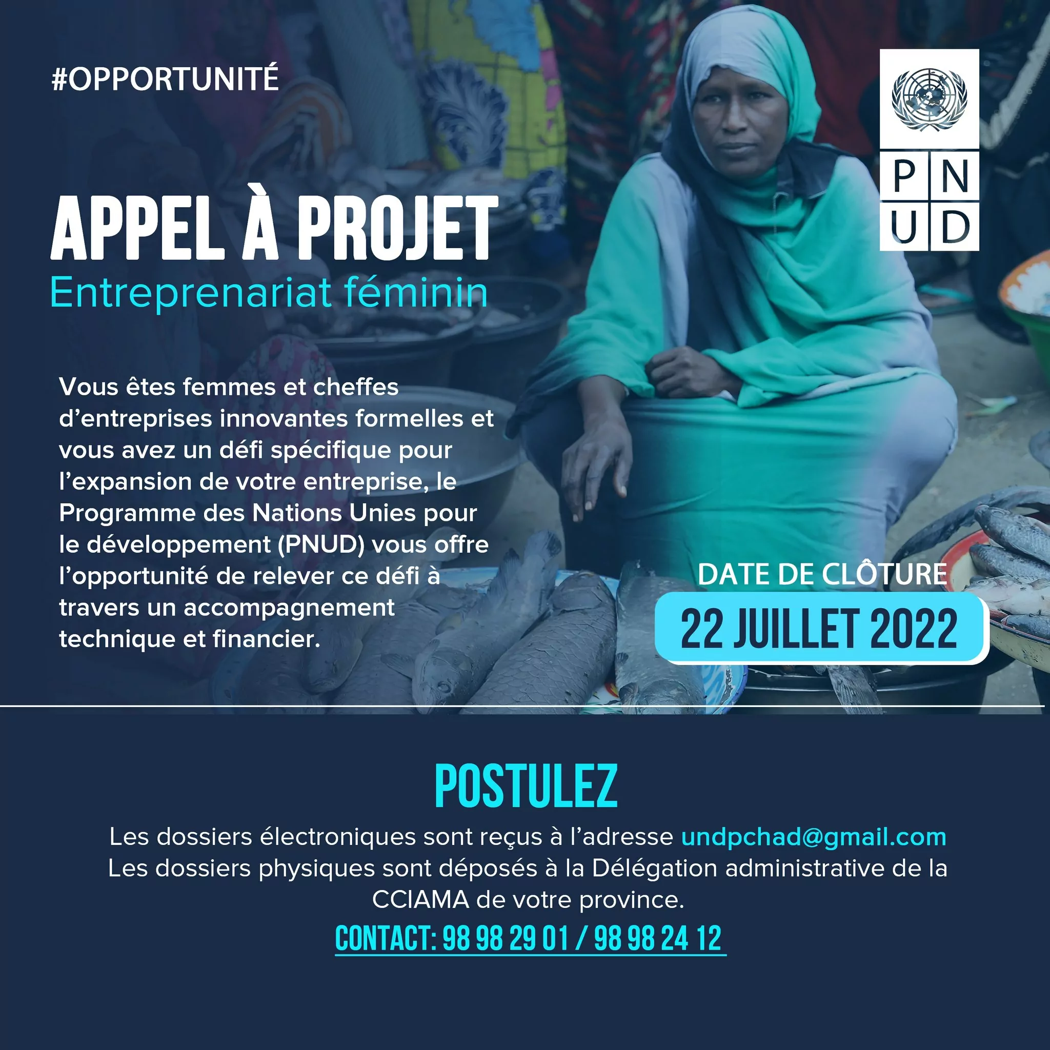 Le PNUD Tchad lance un appel à candidature pour l’identification et l’accompagnement des entreprises détenues par les femmes et à fort impact communautaire