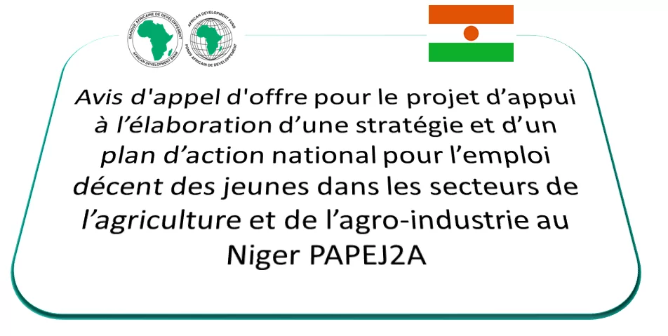 Avis d’appel d’offre pour le projet d’appui à l’élaboration d’une stratégie et d’un plan d’action national pour l’emploi décent des jeunes dans les secteurs de l’agriculture et de l’agro-industrie au Niger PAPEJ2A