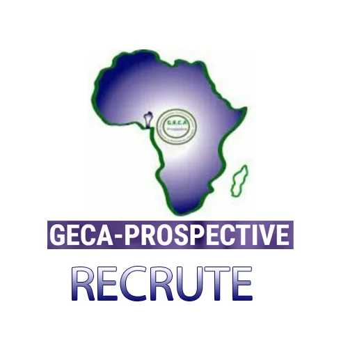 GECA-Prospective & Africo recherche un spécialiste en passation des marchés, Niamey, Niger