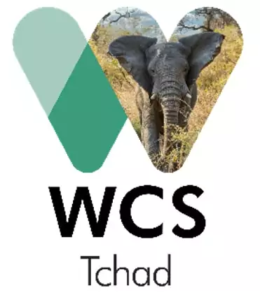 La Wildlife Conservation Society (WCS) recrute un Coordinateur du Projet d’Appui au Complexe Bi National d’Aires Protégées Transfrontalières de Yamoussa pour le Tchad, Pala, Tchad