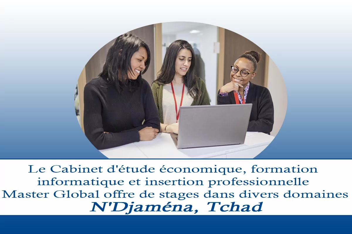 Le Cabinet d’étude économique, formation informatique et insertion professionnelle Master Global offre de stage dans divers domaines, N’Djaména, Tchad