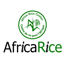 AfricaRice recrute un Analyste des comptes