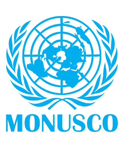 La MONUSCO recrute un Assistant en information géospatiale, Goma, RDC