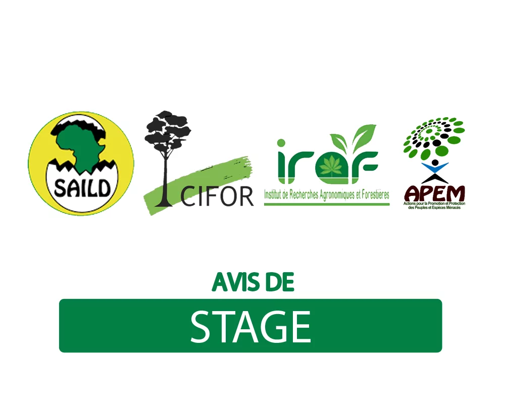 Le Consortium SAILD-CIFOR-IRAF-APEM lance un avis de recrutement d’un Stagiaire en Master II sur le thème “Economie politique de la foresterie communautaire au Cameroun : les populations locales sont-elles les principales bénéficiaires? “