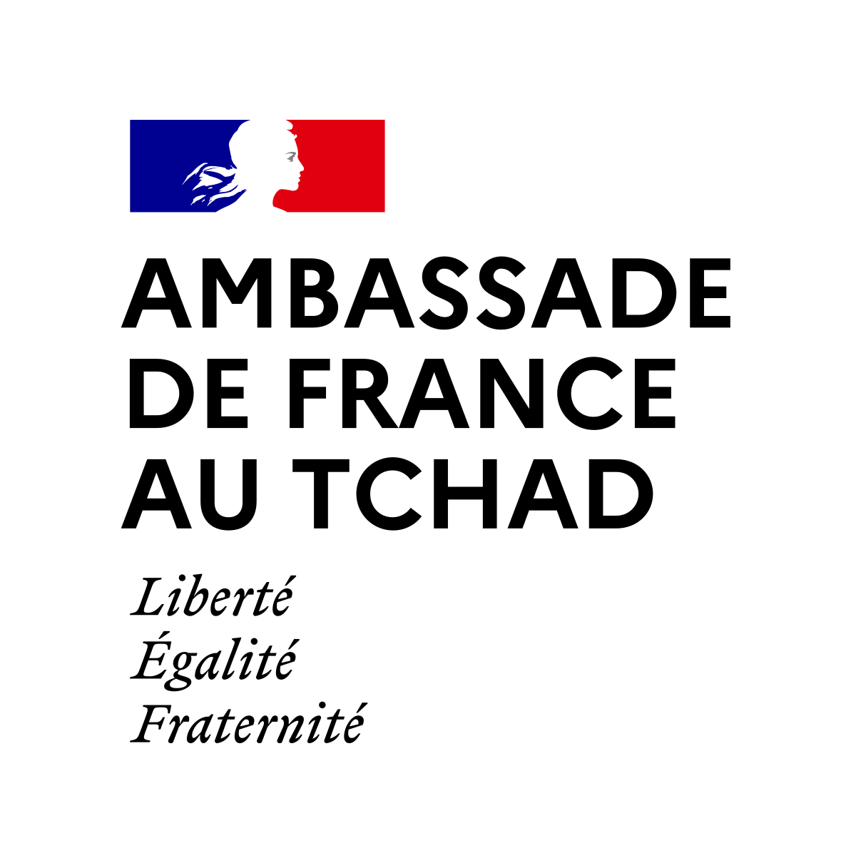 L’Ambassade de France au Tchad lance le programme de bourses de doctorat du gouvernement français, Tchad