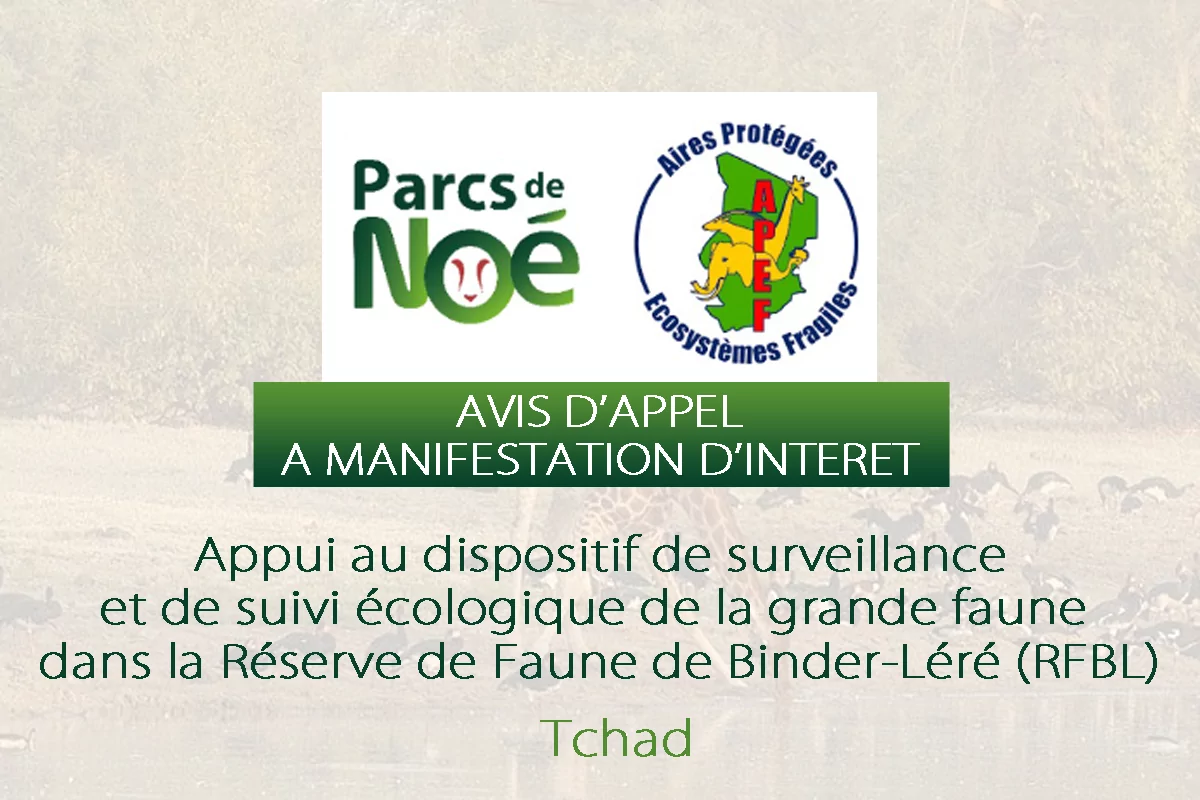 L’association Noé lance un avis à candidature pour l’évaluation du projet « appui au dispositif de surveillance et du suivi écologique de la grande faune dans la réserve de faune de Binder-Léré », Tchad