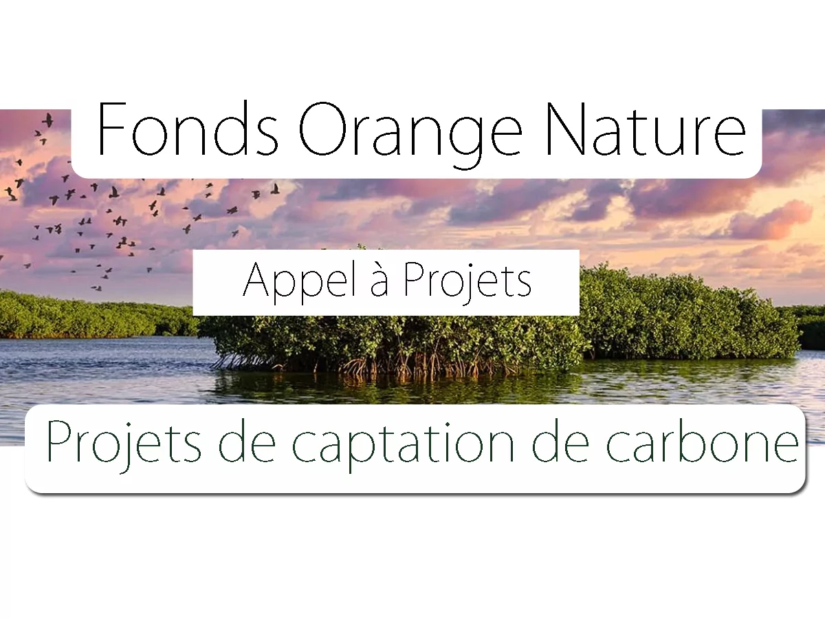 Le Fonds Orange Nature lance un avis d’appel à Projets – Projets de captation de carbone