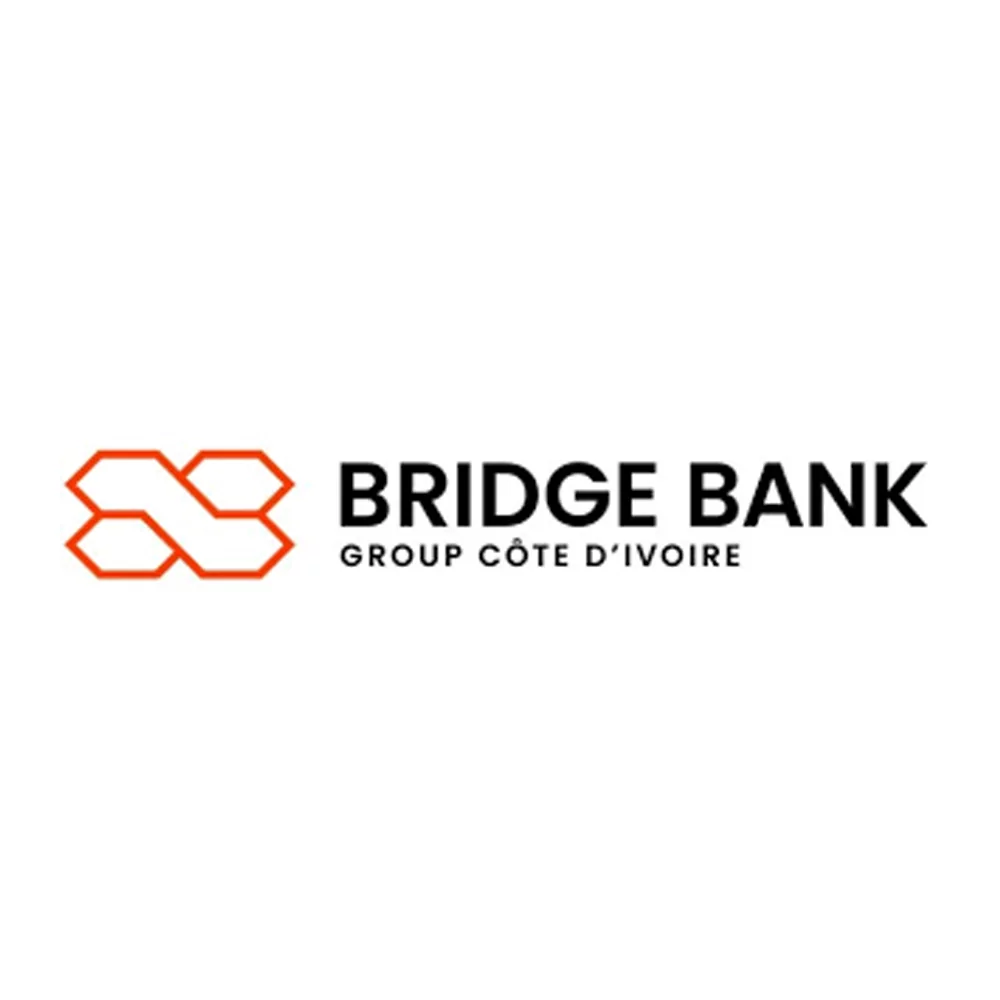 Bridge Bank Group Côte d’Ivoire, recrute un Chargé de l’Expérience Clients