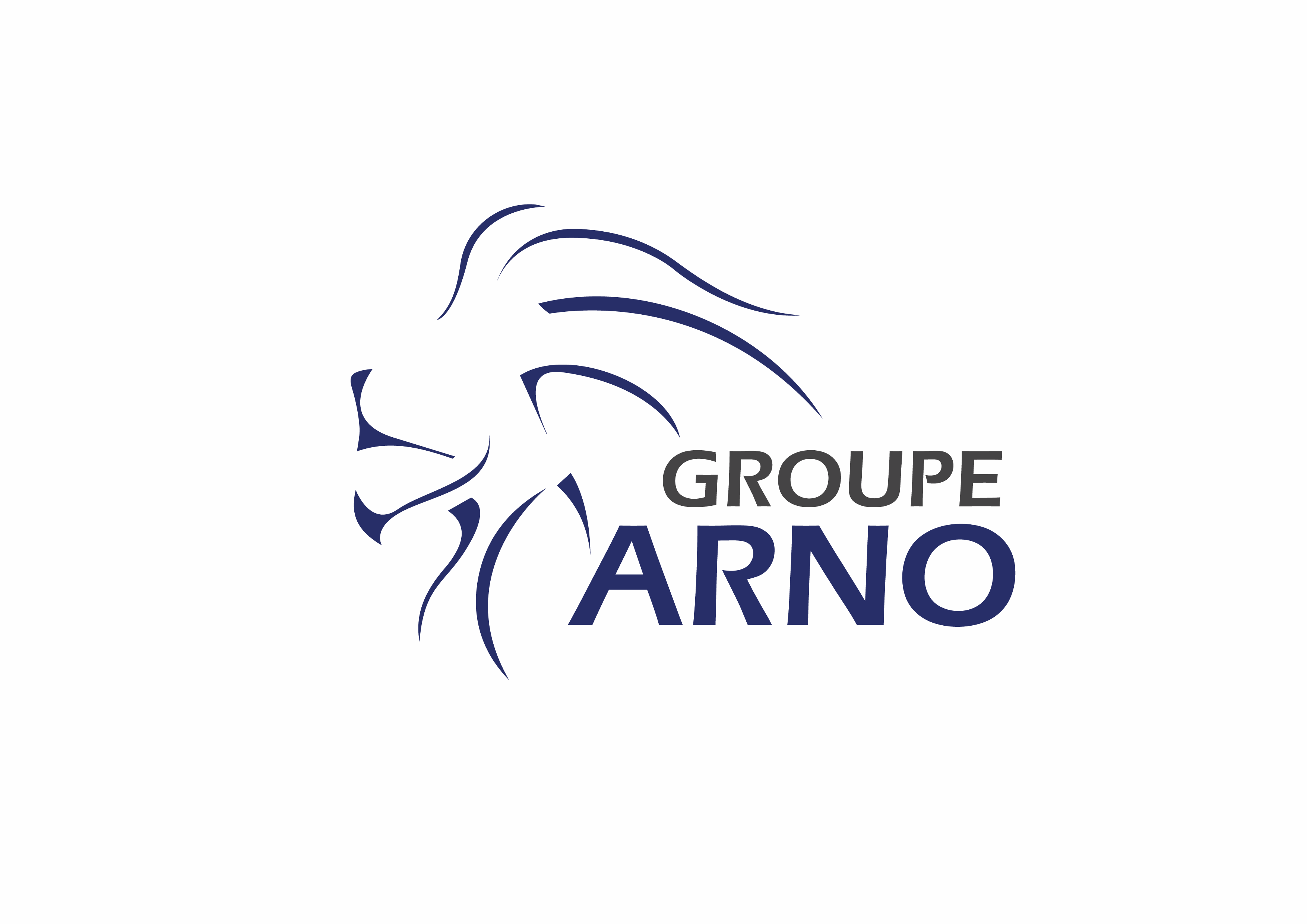 Le Groupe ARNO recrute un(e) Directeur(trice) Administratif(ve) et Financier(ère) (DAF), Douala, Cameroun